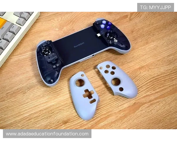 最新版本的AG国际登录下载指南，帮助用户快速注册畅享丰富游戏内容